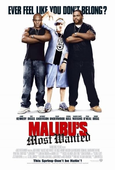watch-Malibu's Most Wanted (2003)