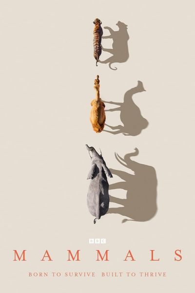 watch-Mammals (2024)