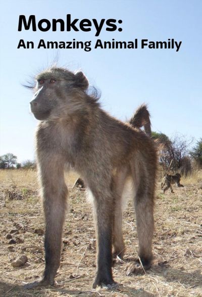 watch-Monkeys: An Amazing Animal Family (2016)
