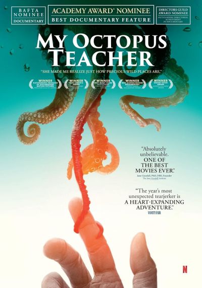 watch-My Octopus Teacher (2020)