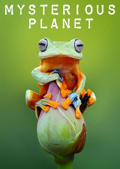 watch-Mysterious Planet (2019)