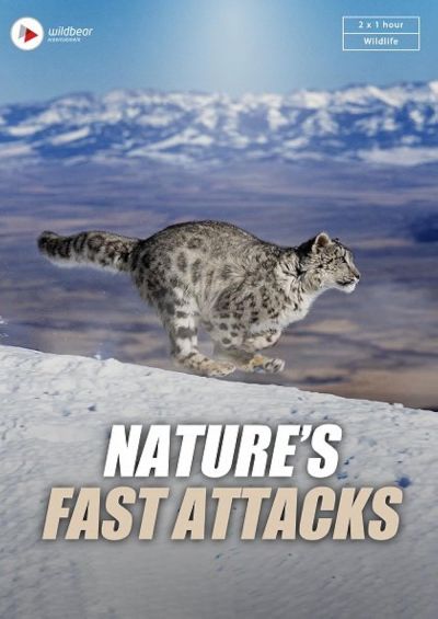 watch-Nature's Fast Attacks (2023)