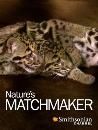 watch-Nature's Matchmaker (2011)