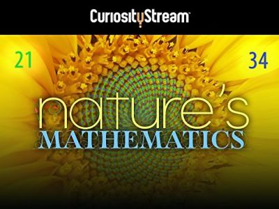 watch-Nature's Mathematics (2017)