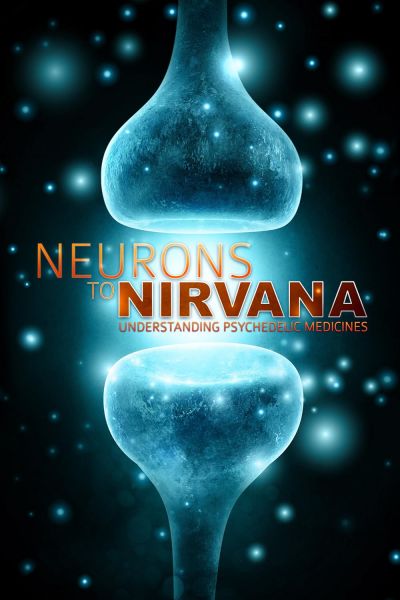 watch-Neurons to Nirvana (2013)