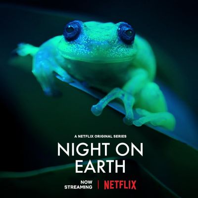 watch-Night on Earth (2020)