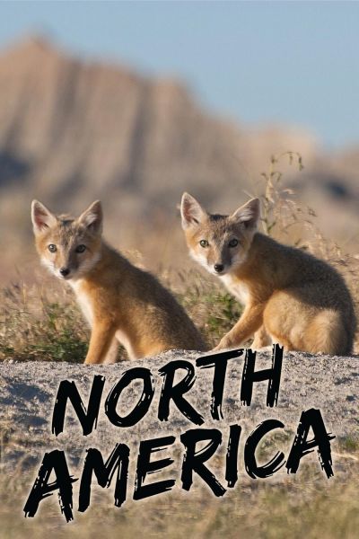 watch-North America (2013)