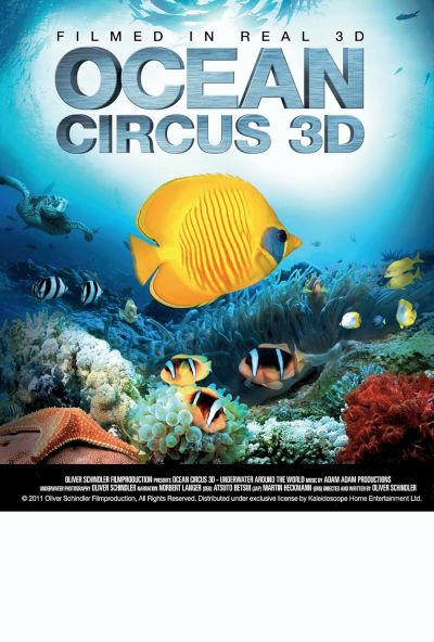 watch-Ocean Circus 3D - Underwater Around the World (2012)