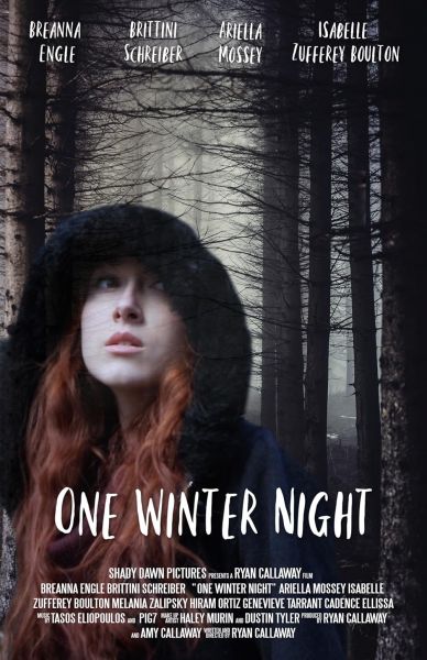 watch-One Winter Night (2019)