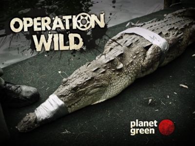 watch-Operation Wild (2010)