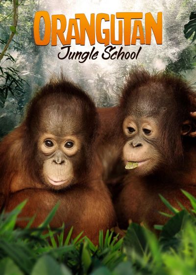 watch-Orangutan Jungle School (2019)