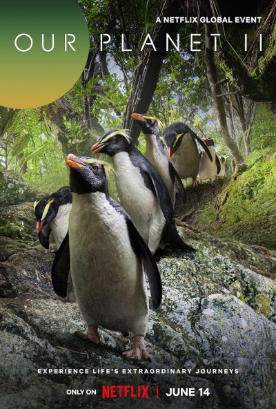 watch-Our Planet (2019)