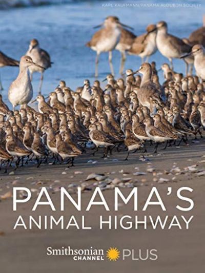 watch-Panama's Animal Highway (2017)