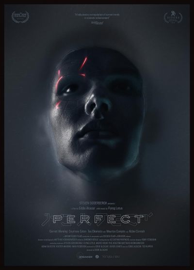 watch-Perfect (2019)