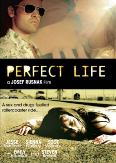 watch-Perfect Life (2010)