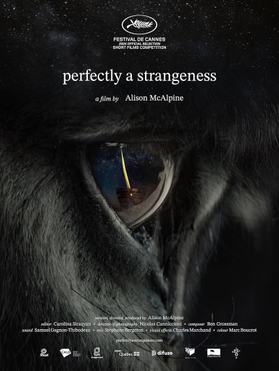 watch-Perfectly A Strangeness (2024)