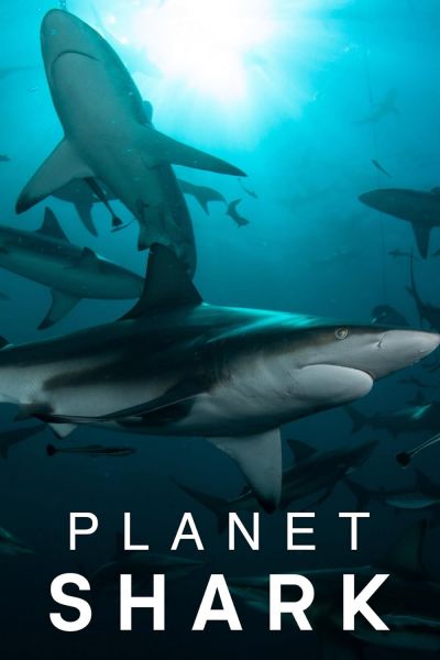 watch-Planet Shark (2022)