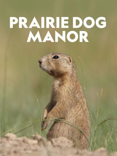 watch-Prairie Dog Manor (2019)