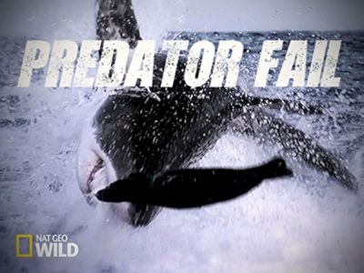 watch-Predator Fail (2014)