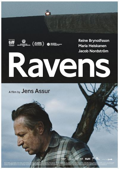 watch-Ravens (2017)