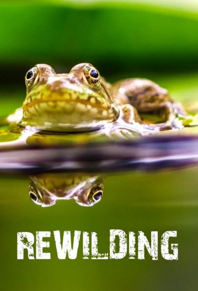 watch-Rewilding (2017)
