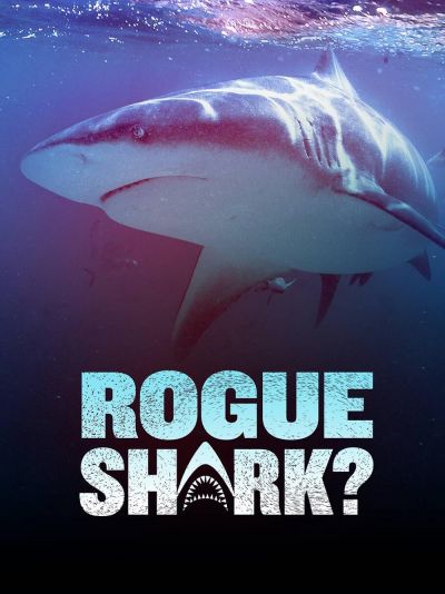watch-Rogue Shark? (2021)