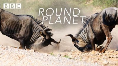 watch-Round Planet (2016)