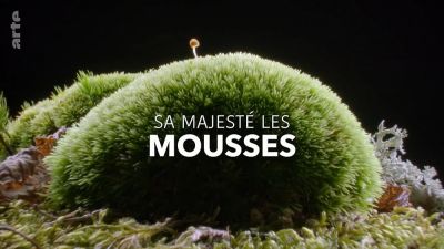 watch-Sa MajestÃ© les mousses (2023)