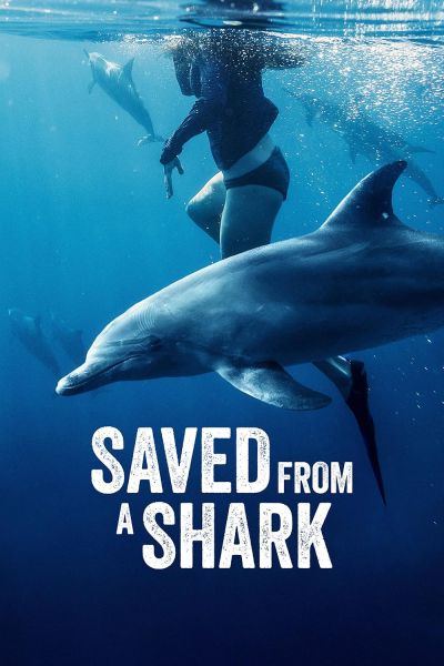 watch-Saved From a Shark (2023)