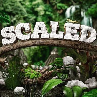watch-Scaled (2018)