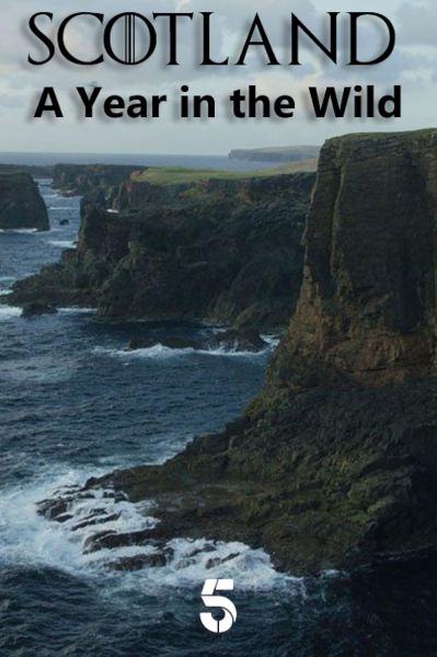 watch-Scotland: A Wild Year (2021)