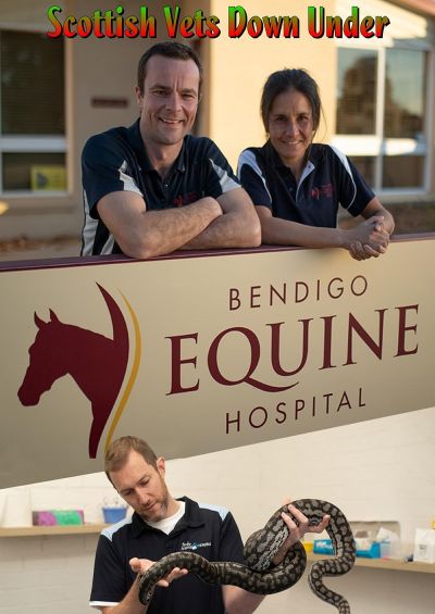 watch-Scottish Vets Down Under (2020)