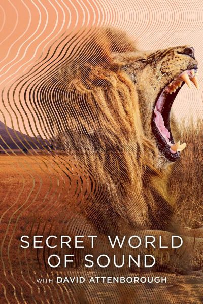 watch-Secret World of Sound with David Attenborough (2024)