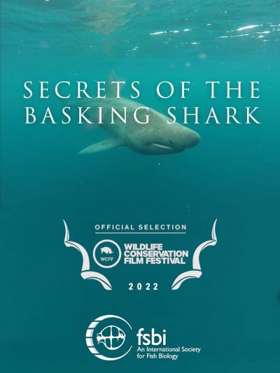 watch-Secrets of the Basking Shark
