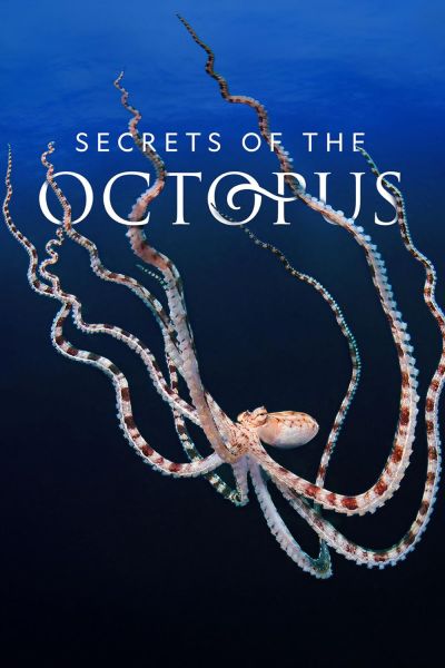 watch-Secrets of the Octopus (2024)