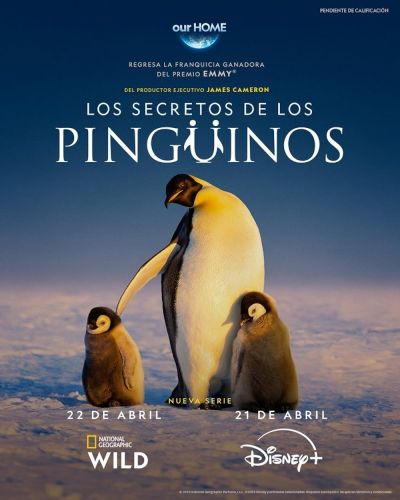 watch-Secrets of the Penguins (2025)