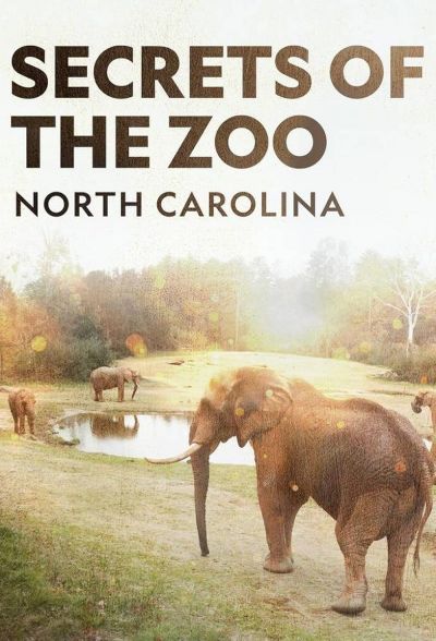 watch-Secrets of the Zoo: North Carolina (2020)