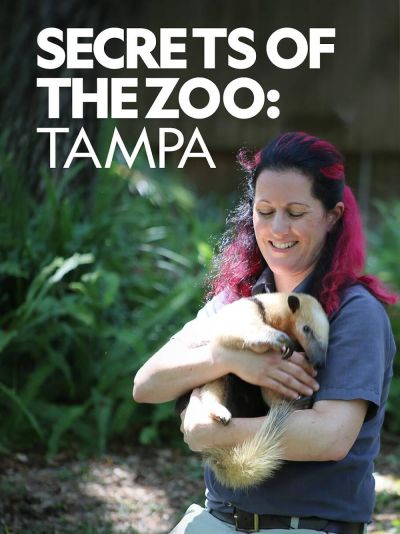 watch-Secrets of the Zoo: Tampa (2020)