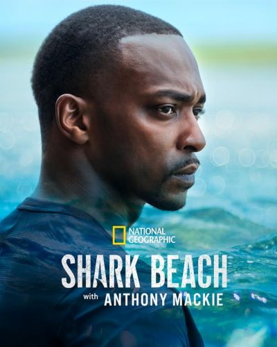 watch-Shark Beach with Anthony Mackie (2024)