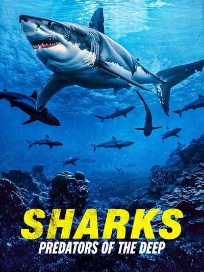 watch-Sharks: Predators of the Deep (2024)