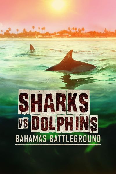 watch-Sharks vs. Dolphins: Bahamas Battleground (2023)