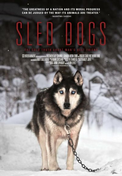 watch-Sled Dogs (2017)