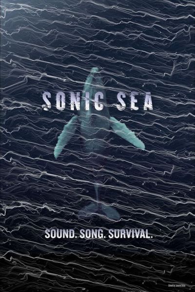 watch-Sonic Sea (2016)