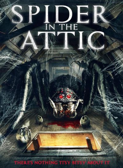 watch-Spider in the Attic (2021)