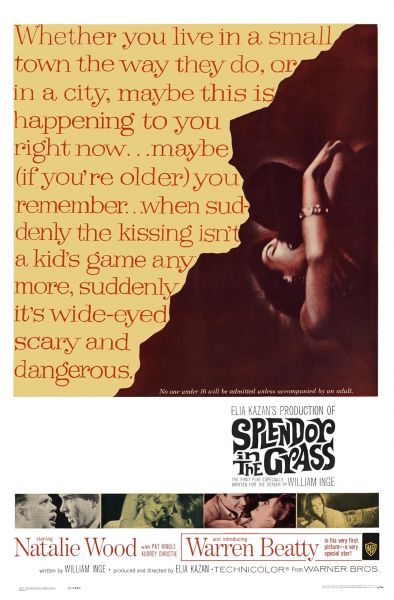 watch-Splendor in the Grass (1961)