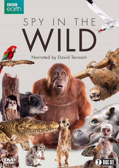 watch-Spy in the Wild (2017)