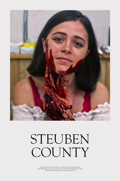 watch-Steuben County (2020)