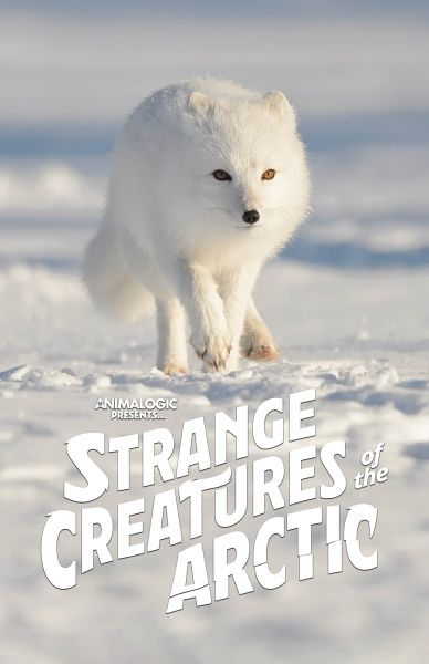 watch-Strange Creatures of the Arctic (2022)