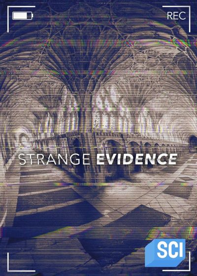 watch-Strange Evidence (2017)