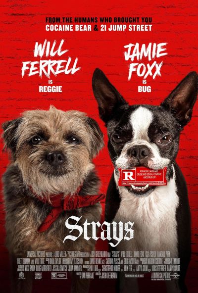 watch-Strays (2023)